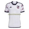 Original Fußballtrikot Japan Auswärtstrikot WM 2022 Für Herren